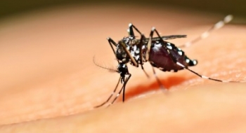 Ministério da Saúde repassa R$ 30,4 milhões para combate ao Aedes aegypti